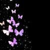 🦋