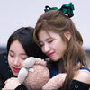 호노카🐶🦄❤️❤️