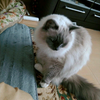 ゆう
