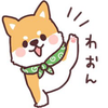 たくみ🍑🍮⚽️🔥🐈🎨