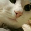みかんちゃんマン