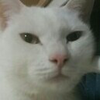 SHUTARO 