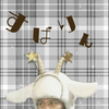 しらたき