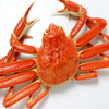 カニ🦀