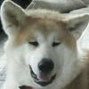 みか