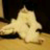 😺かずや😻