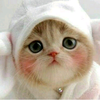 ねこにゃん