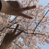 にいな