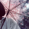 瑠乃