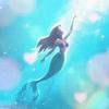  Ariel🐚