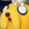 マヨ