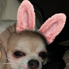 ユーザーアイコン
