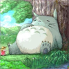 かいたく