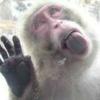 🐒saru🐵
