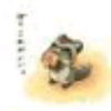 のんしゅがー