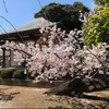 とっしゅ