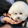 まおくん