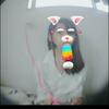 🐥🐸小悪魔な✟吸血姫✞🐶🐻