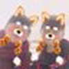 ののか