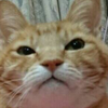 ユーザーアイコン