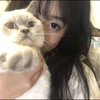 くるり