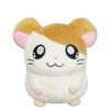 とことこハムごろう🐹