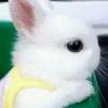 ユーザーアイコン