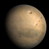 Pluto cat 