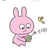 ゴマちゃん🧸🎼