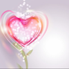 💋 𝓚𝓲𝔂𝓸💋
