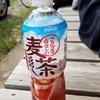 麦茶