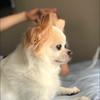 MUUMU
