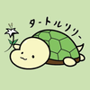 【公式】タートルリリー