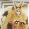 マエカガミン
