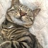 ねねちゅんちゅ