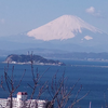 森の向こう