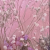 ୨୧あやか ୨୧