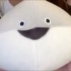 超かわいい古代魚