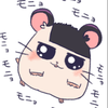 二兎