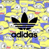Y S