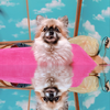 🏄‍♀️CHARLY🏄‍♀️ 