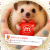 ﾐﾙﾙ(嵐へ沢山の幸せをありがとう…😭)