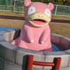ポケッツォ