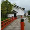 halu
