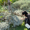 Shima Akari