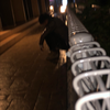 📮世界のハガキ職人🕊