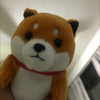 おじぴ