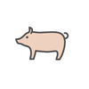 さくらこ🌸🐷
