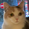 おばっち