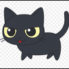 黒猫